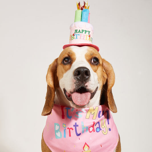 Birthday hat